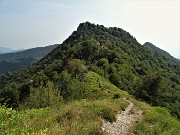 79 Scendendo al Forcellino e al suo roccolo